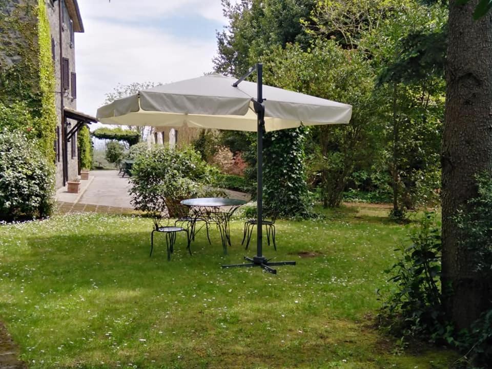 Rosati Orvieto