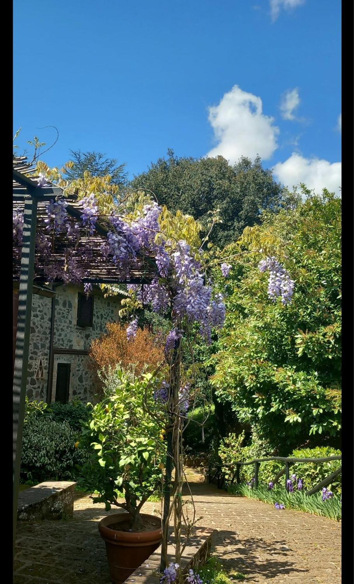 Rosati Farm stay