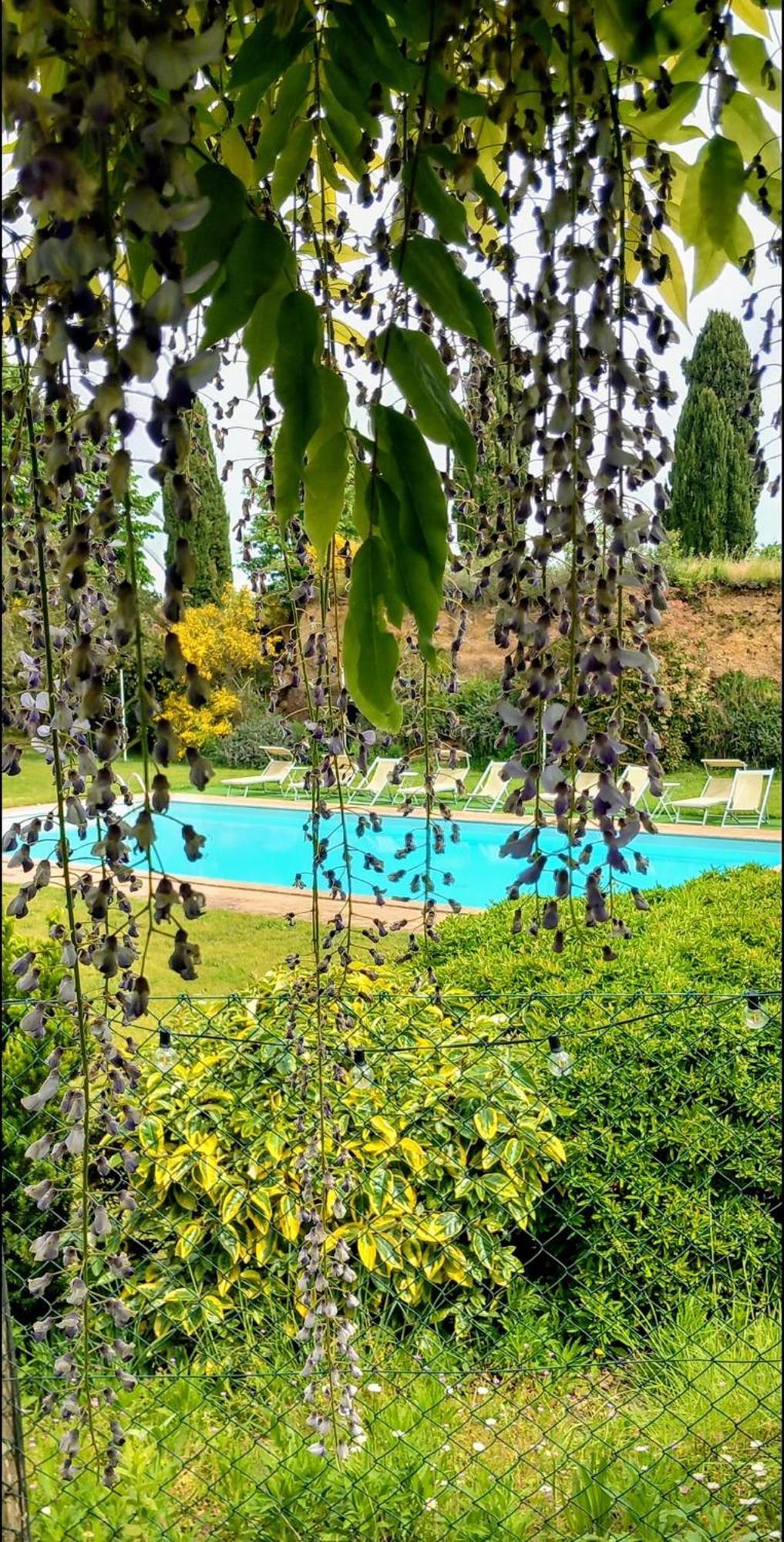 Rosati *